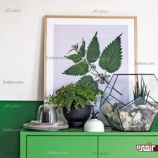 استفاده از گیاهان طبیعی در دکوراسیون داخلی
