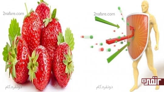 توت فرنگی ایمنی بدن را تقویت می کند