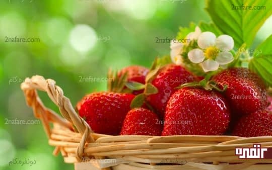 توت فرنگی میوه ی دوست داشتنی