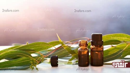 روغن اکالیپتوس و درمان گلو درد