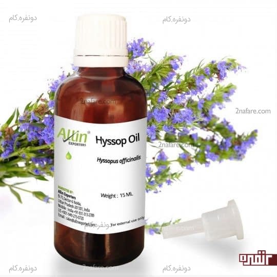 روغن زوفا