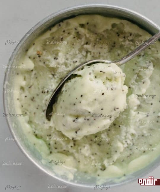 طرز تهیه یخ در بهشت کیوی