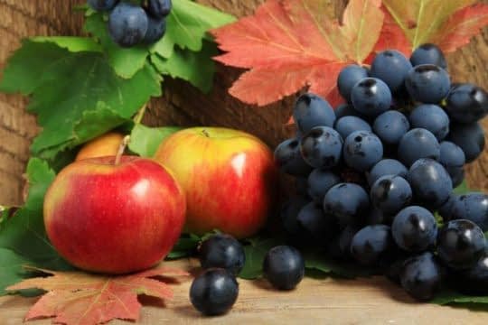 انگور و سیب برای از بین بردن رادیکال های آزاد