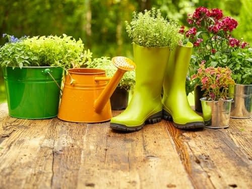 نگهداری از گل و گیاه و باغبانی در منزل