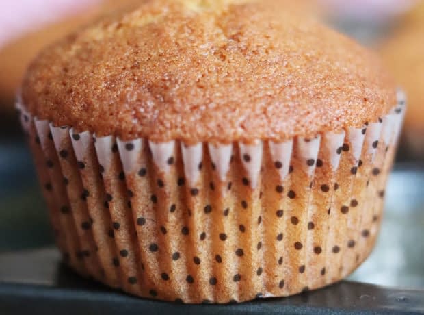 طرز تهیه کیک یزدی کیک یزدی