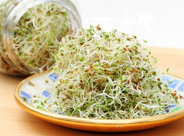 چطور از حبوبات جوانه تهیه کنیم؟ جوانه